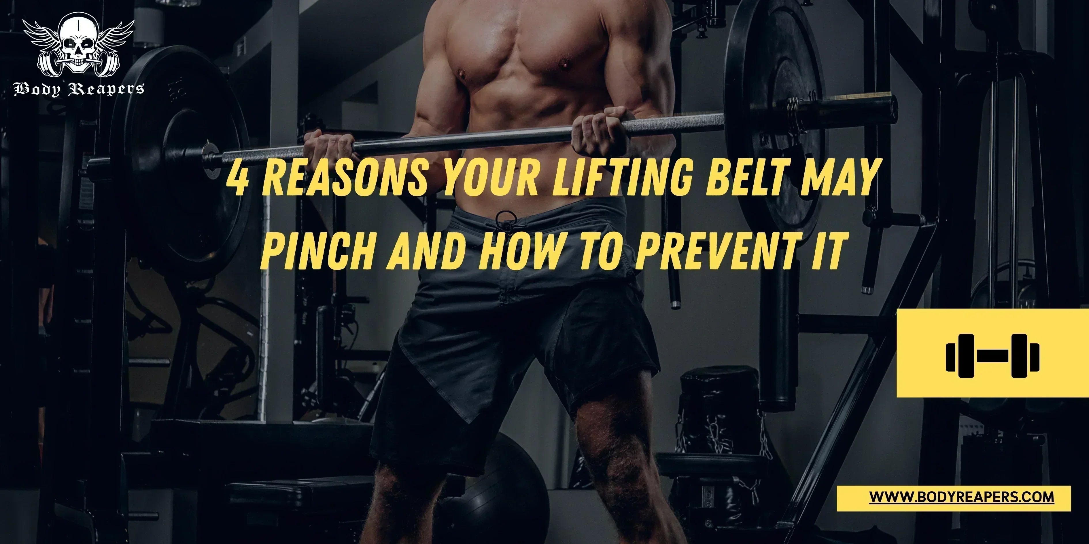 lifting belt