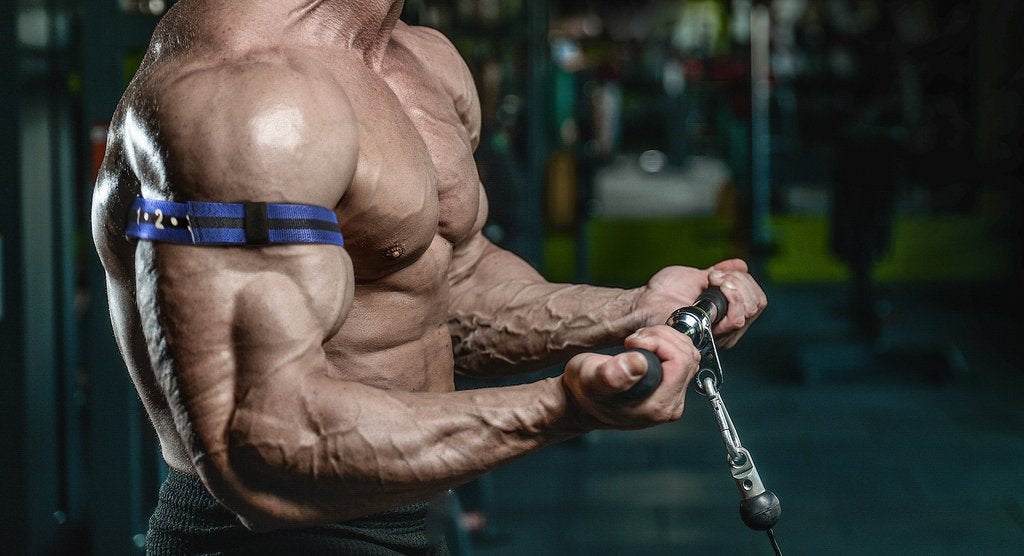 How to Build Bigger Bicep Muscles, Here’s a Guide