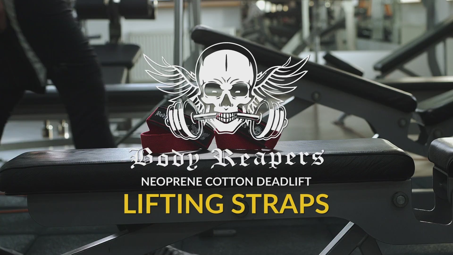 Weight Lifting Straps 24"